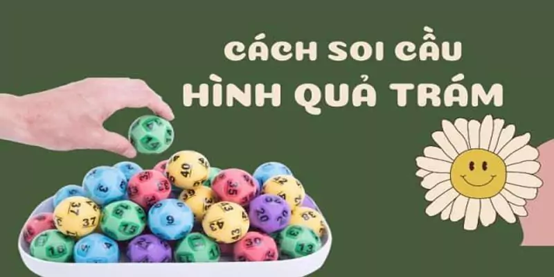 Kinh nghiệm bắt lô hình quả trám hiệu quả nhất